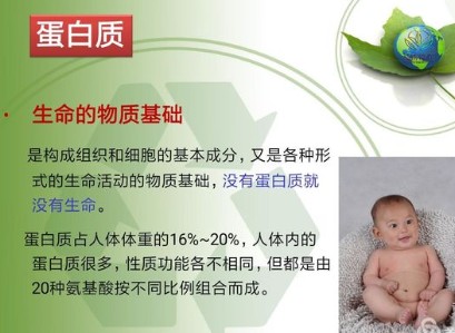 什么是蛋白质？高蛋白食物有哪些？